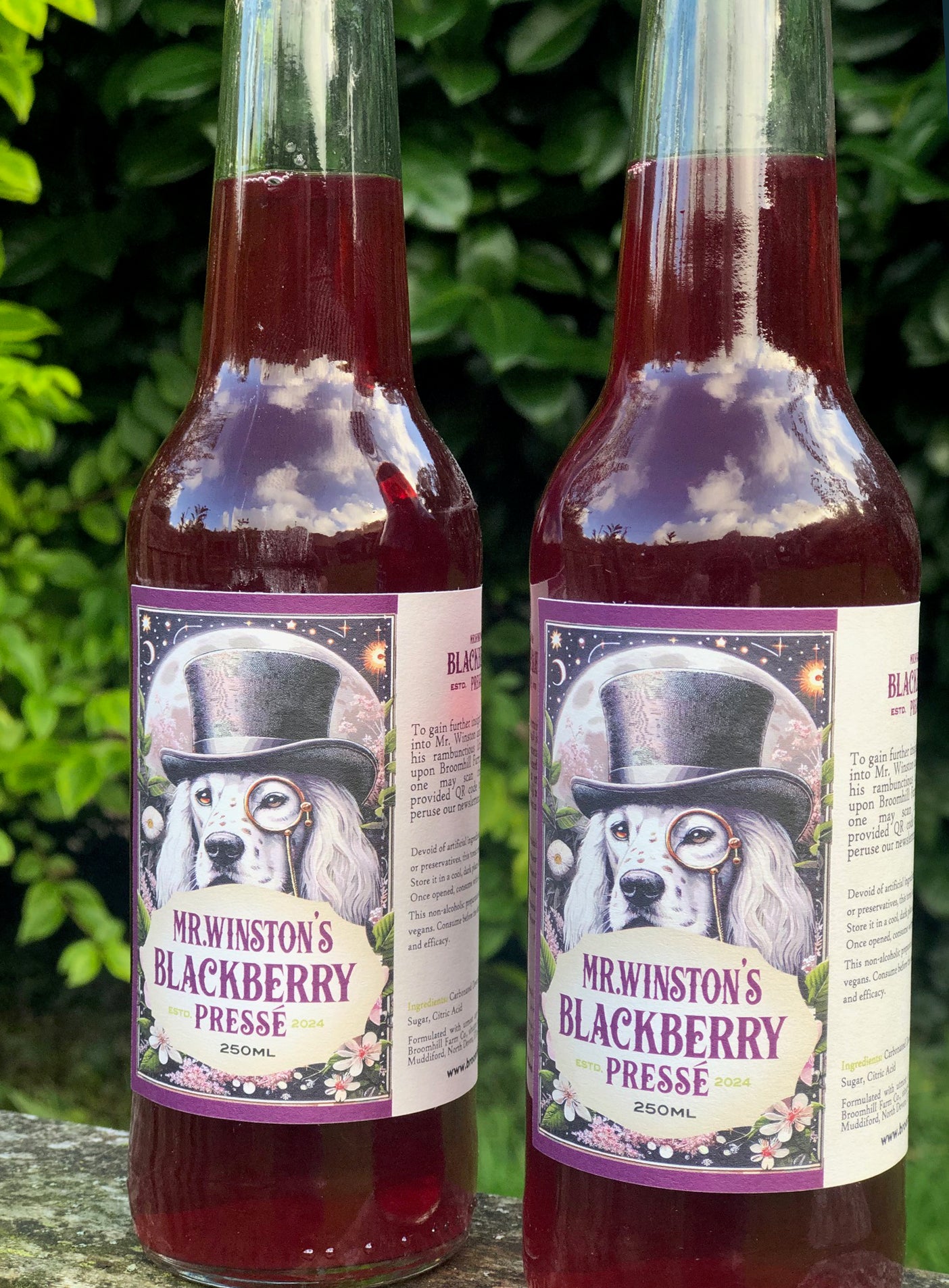 Mr Winston's Autumnal sparkling natural Blackberry pressé - 250ml