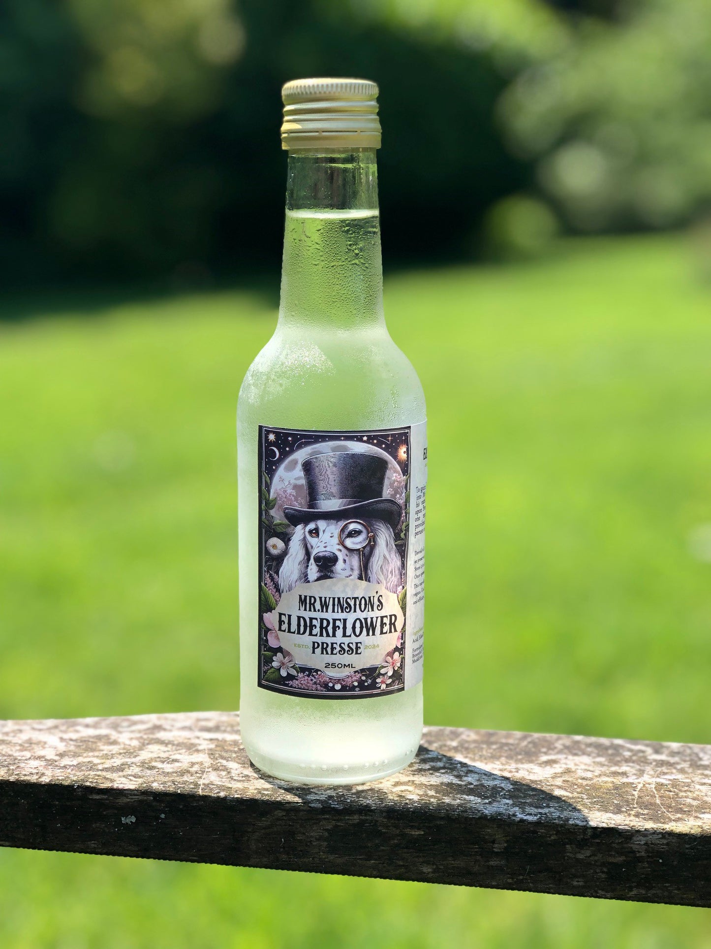 Mr Winston's sparkling Elderflower Pressé