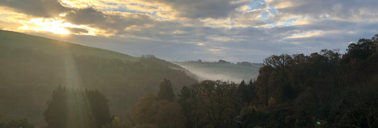 A picture of the view from Broomhill Farm showing trees in a valley