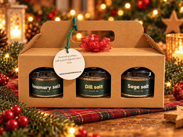 The Christmas Kitchen Gift Set - 3x100gm sea salts + digital "Confident Cook" guide (Rosemary, Sage & Dill)