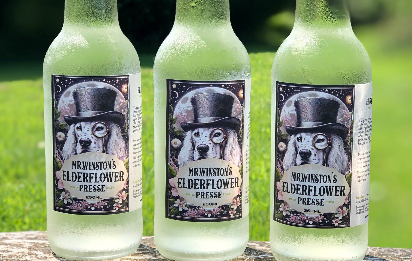 Mr Winston's sparkling Elderflower Pressé gift pack