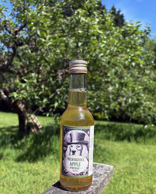 Mr Winston's sparkling natural apple pressé